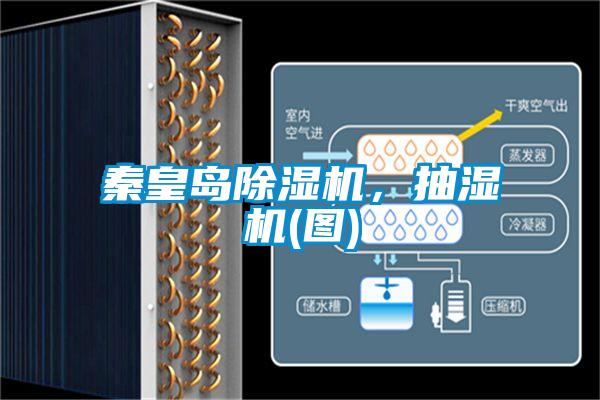 秦皇島除濕機(jī)，抽濕機(jī)(圖)