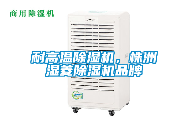 耐高溫除濕機(jī)，株洲濕菱除濕機(jī)品牌