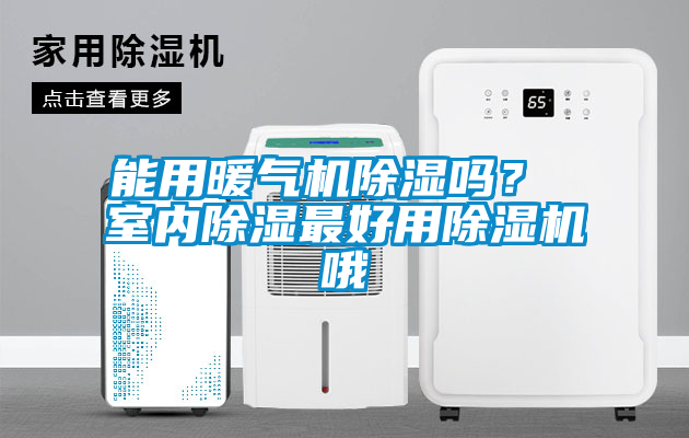 能用暖氣機(jī)除濕嗎？ 室內(nèi)除濕最好用除濕機(jī)哦