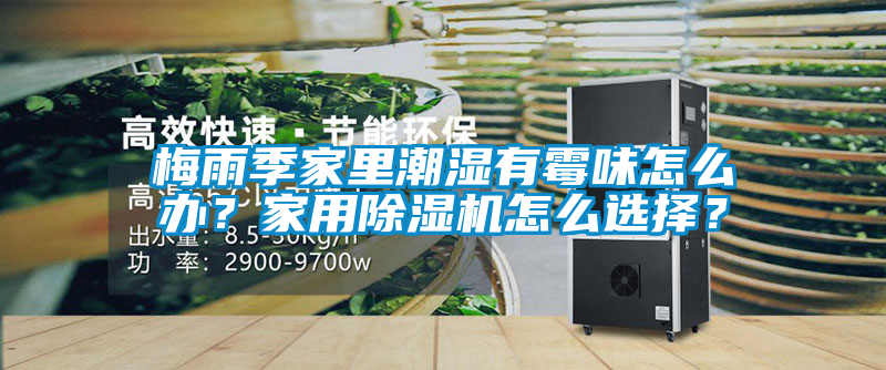 梅雨季家里潮濕有霉味怎么辦？家用除濕機(jī)怎么選擇？