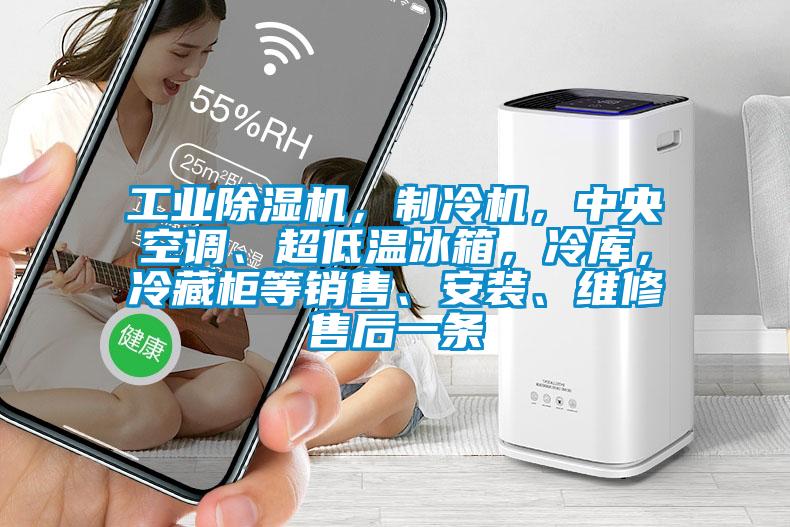 工業(yè)除濕機(jī)，制冷機(jī)，中央空調(diào)、超低溫冰箱，冷庫，冷藏柜等銷售、安裝、維修售后一條