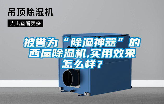 被譽(yù)為“除濕神器”的西屋除濕機(jī),實(shí)用效果怎么樣？