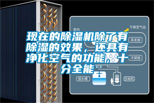 現(xiàn)在的除濕機(jī)除了有除濕的效果，還具有凈化空氣的功能，十分全能