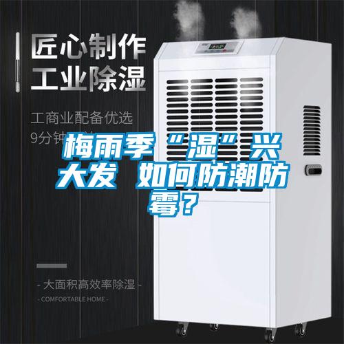 梅雨季“濕”興大發(fā) 如何防潮防霉？