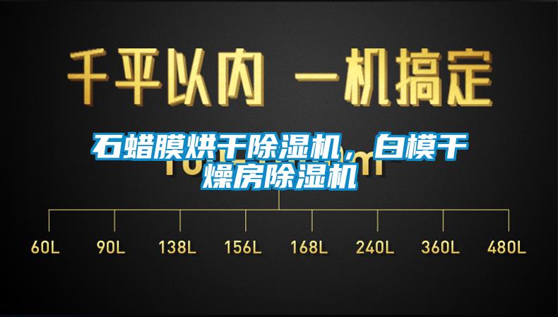 石蠟?zāi)ず娓沙凉駲C(jī)，白模干燥房除濕機(jī)