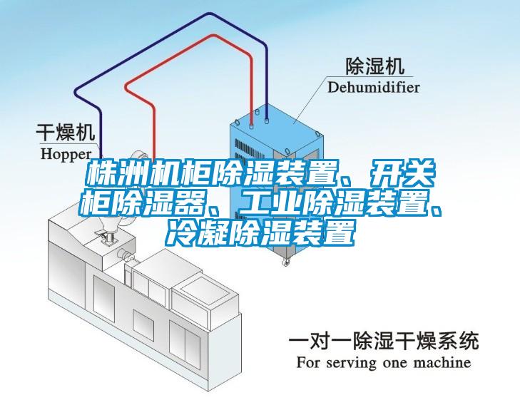 株洲機(jī)柜除濕裝置、開關(guān)柜除濕器、工業(yè)除濕裝置、冷凝除濕裝置