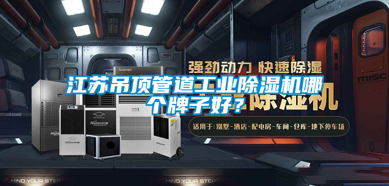 江蘇吊頂管道工業(yè)除濕機哪個牌子好？