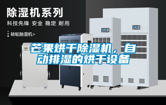 芒果烘干除濕機，自動排濕的烘干設備