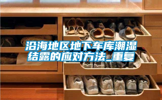 沿海地區(qū)地下車庫潮濕結(jié)露的應(yīng)對(duì)方法_重復(fù)