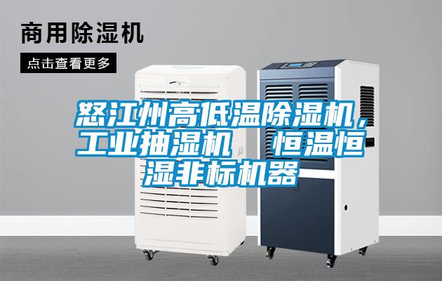 怒江州高低溫除濕機(jī)，工業(yè)抽濕機(jī)  恒溫恒濕非標(biāo)機(jī)器