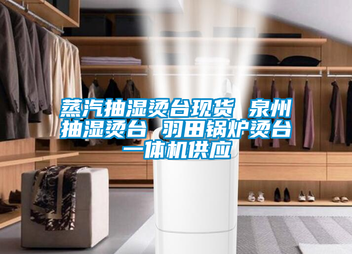 蒸汽抽濕燙臺現(xiàn)貨 泉州抽濕燙臺 羽田鍋爐燙臺一體機供應