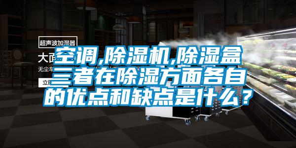 空調(diào),除濕機(jī),除濕盒三者在除濕方面各自的優(yōu)點(diǎn)和缺點(diǎn)是什么？