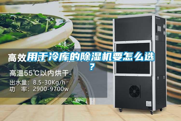 用于冷庫的除濕機要怎么選？