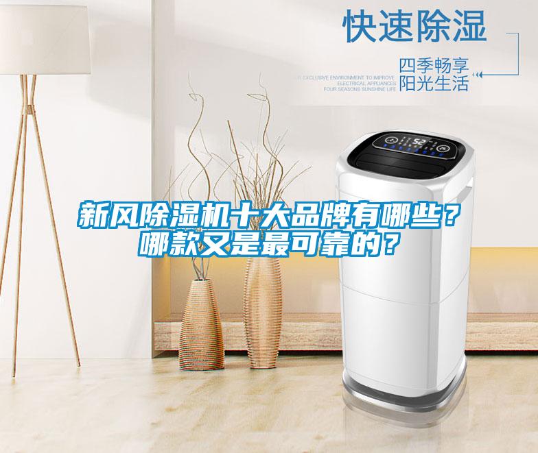 新風(fēng)除濕機(jī)十大品牌有哪些？哪款又是最可靠的？