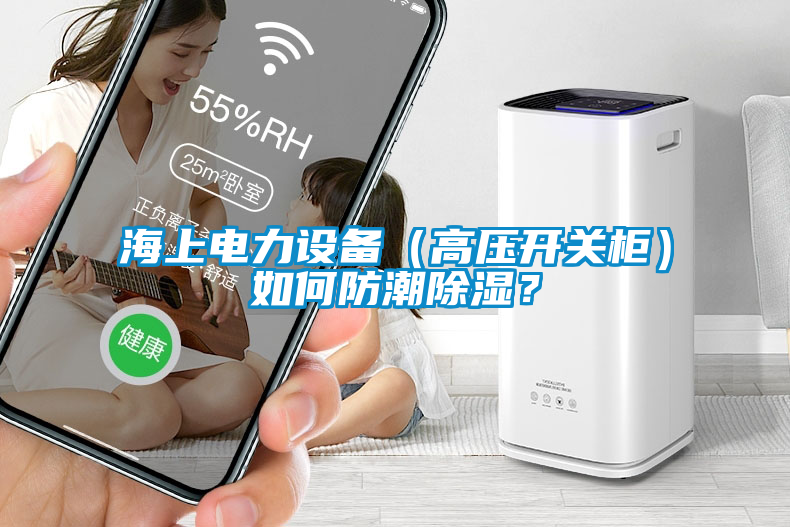 海上電力設(shè)備（高壓開(kāi)關(guān)柜）如何防潮除濕？
