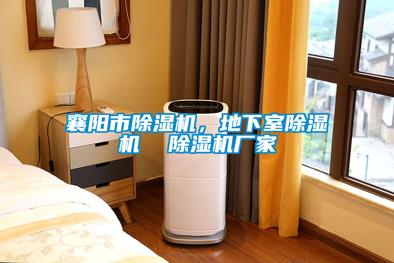 襄陽(yáng)市除濕機(jī)，地下室除濕機(jī)  除濕機(jī)廠家