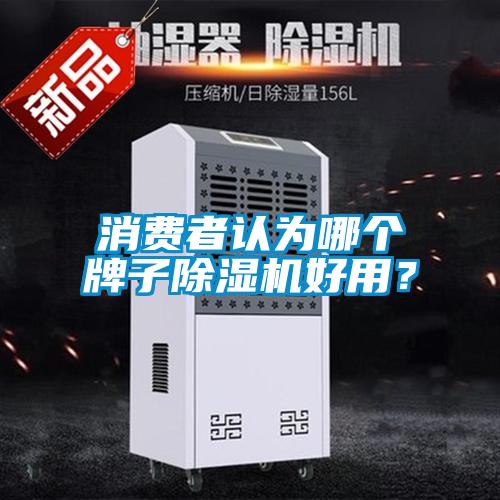 消費(fèi)者認(rèn)為哪個(gè)牌子除濕機(jī)好用？