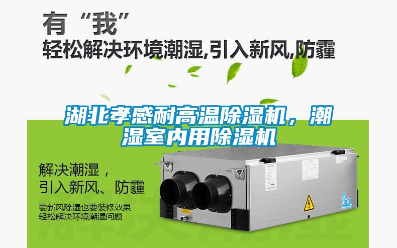 湖北孝感耐高溫除濕機(jī)，潮濕室內(nèi)用除濕機(jī)