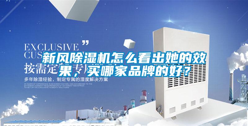新風(fēng)除濕機(jī)怎么看出她的效果，買哪家品牌的好？