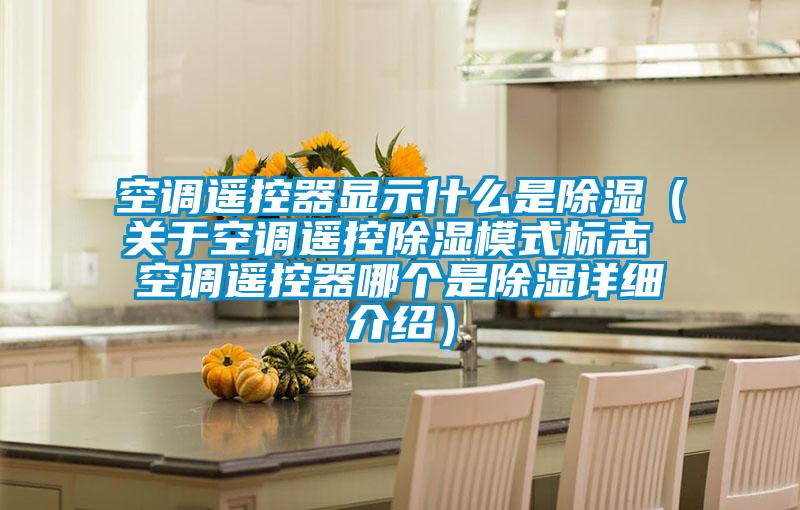 空調(diào)遙控器顯示什么是除濕（關(guān)于空調(diào)遙控除濕模式標志 空調(diào)遙控器哪個是除濕詳細介紹）