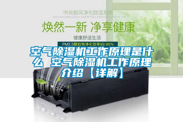 空氣除濕機(jī)工作原理是什么 空氣除濕機(jī)工作原理介紹【詳解】