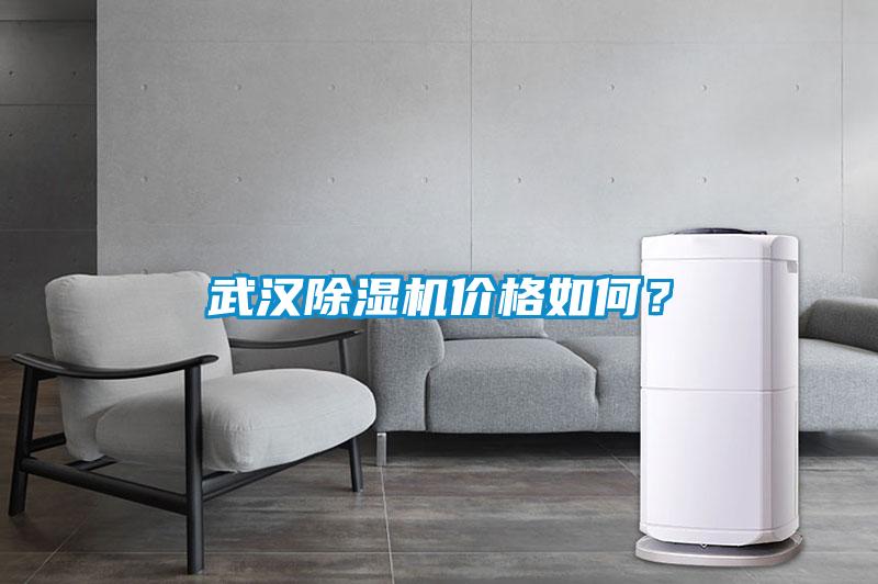 武漢除濕機價格如何？