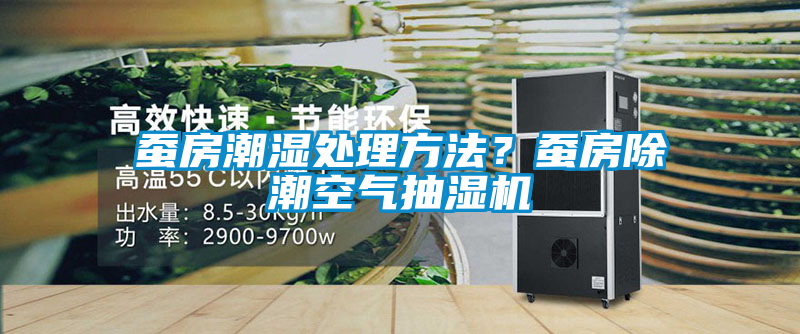 蠶房潮濕處理方法？蠶房除潮空氣抽濕機