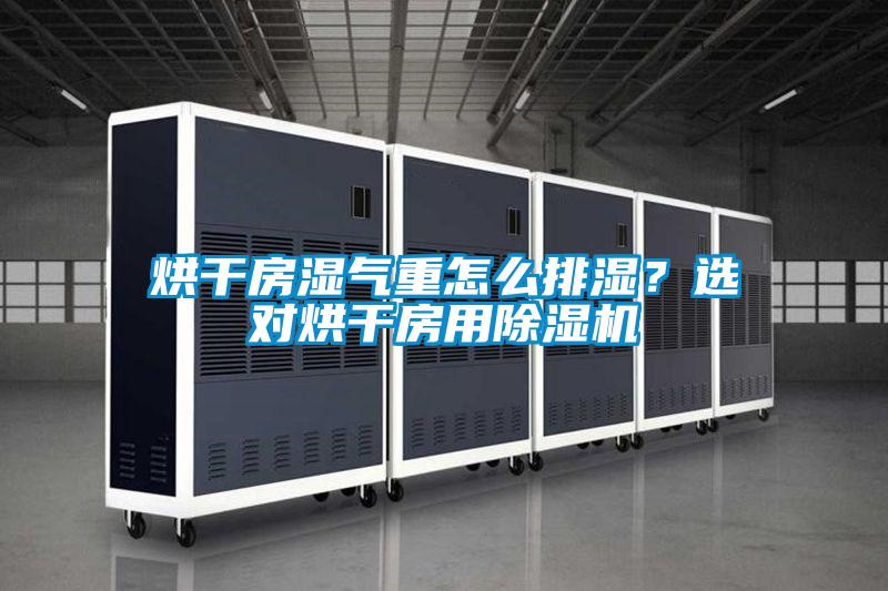 烘干房濕氣重怎么排濕？選對烘干房用除濕機