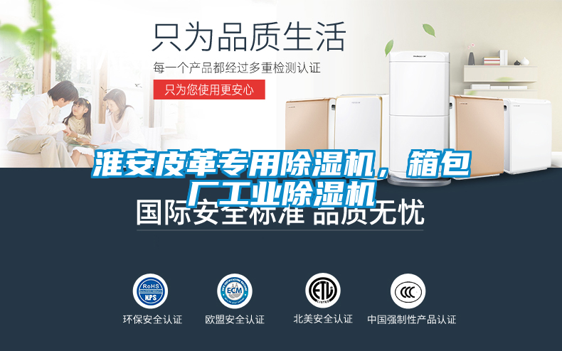 淮安皮革專用除濕機(jī)，箱包廠工業(yè)除濕機(jī)