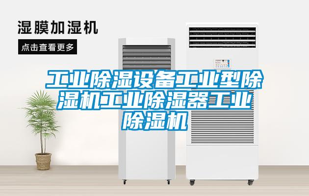 工業(yè)除濕設備工業(yè)型除濕機工業(yè)除濕器工業(yè)除濕機