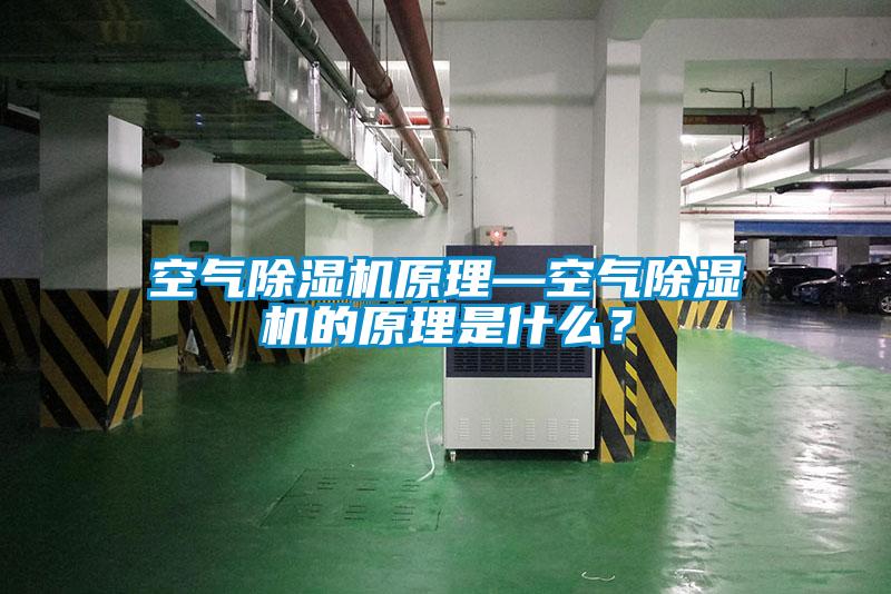 空氣除濕機原理—空氣除濕機的原理是什么？