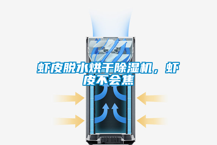 蝦皮脫水烘干除濕機，蝦皮不會焦
