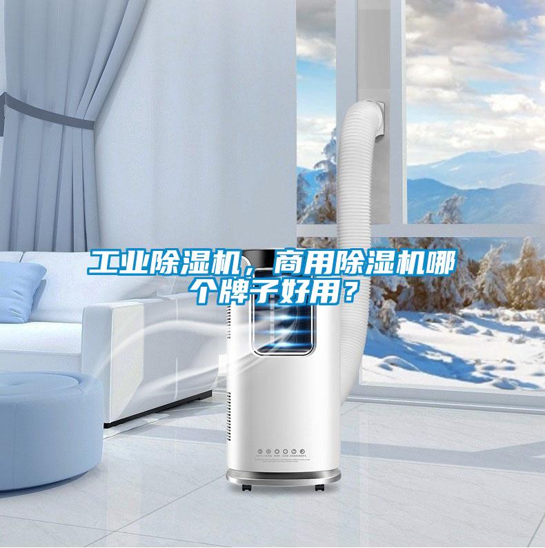 工業(yè)除濕機(jī)，商用除濕機(jī)哪個牌子好用？