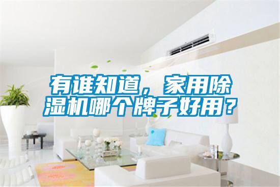 有誰(shuí)知道，家用除濕機(jī)哪個(gè)牌子好用？