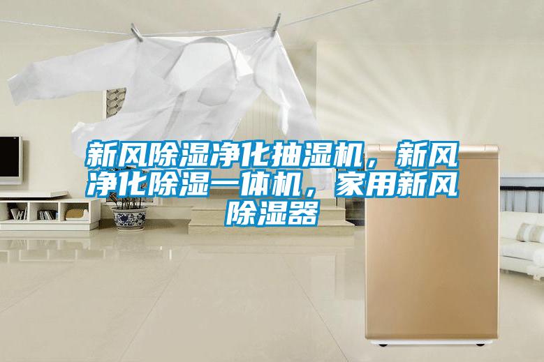 新風(fēng)除濕凈化抽濕機(jī)，新風(fēng)凈化除濕一體機(jī)，家用新風(fēng)除濕器