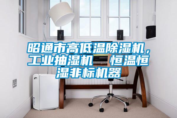 昭通市高低溫除濕機(jī)，工業(yè)抽濕機(jī)  恒溫恒濕非標(biāo)機(jī)器