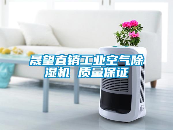 晟望直銷工業(yè)空氣除濕機(jī) 質(zhì)量保證