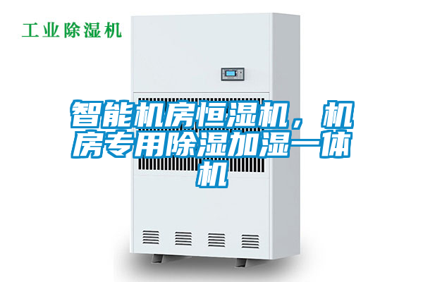 智能機房恒濕機，機房專用除濕加濕一體機