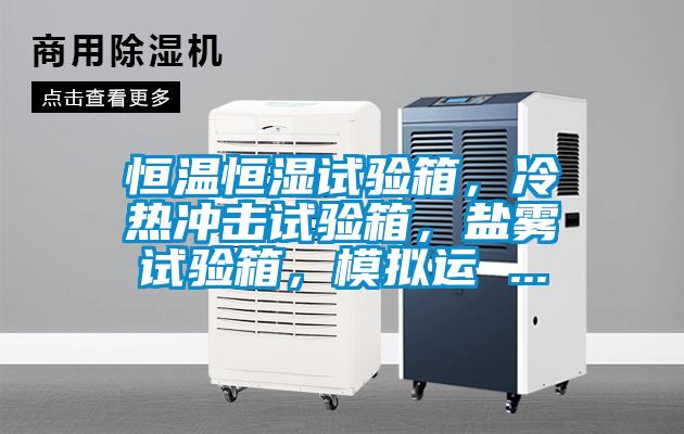 恒溫恒濕試驗箱，冷熱沖擊試驗箱，鹽霧試驗箱，模擬運 ...