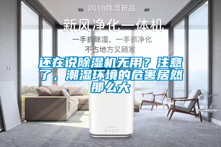 還在說(shuō)除濕機(jī)無(wú)用？注意了，潮濕環(huán)境的危害居然那么大