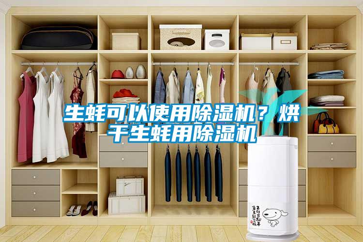 生蠔可以使用除濕機(jī)？烘干生蠔用除濕機(jī)