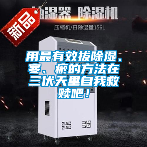 用最有效拔除濕、寒、瘀的方法在三伏天里自我救贖吧！