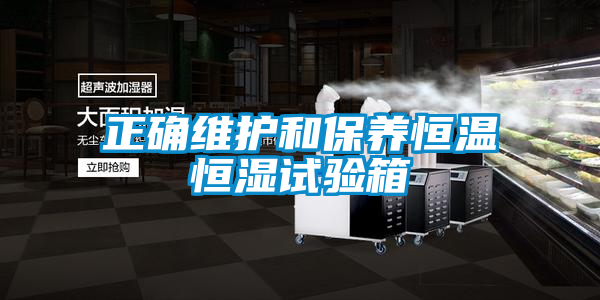正確維護和保養(yǎng)恒溫恒濕試驗箱