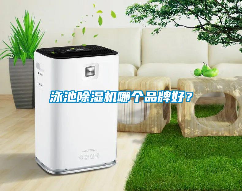泳池除濕機(jī)哪個(gè)品牌好？