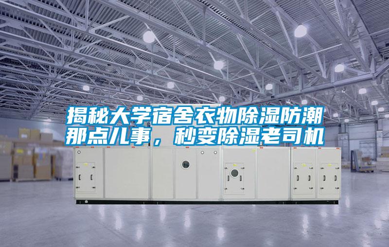 揭秘大學(xué)宿舍衣物除濕防潮那點(diǎn)兒事，秒變除濕老司機(jī)