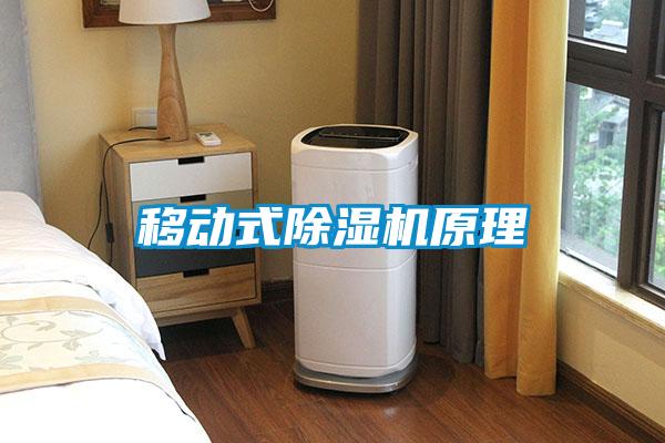 移動式除濕機(jī)原理