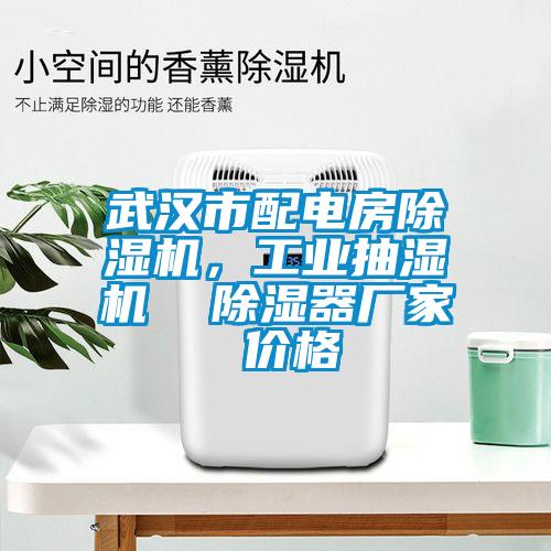 武漢市配電房除濕機(jī)，工業(yè)抽濕機(jī)  除濕器廠家 價(jià)格
