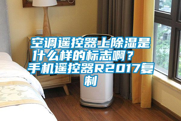 空調(diào)遙控器上除濕是什么樣的標志??？ 手機遙控器R2017復(fù)制