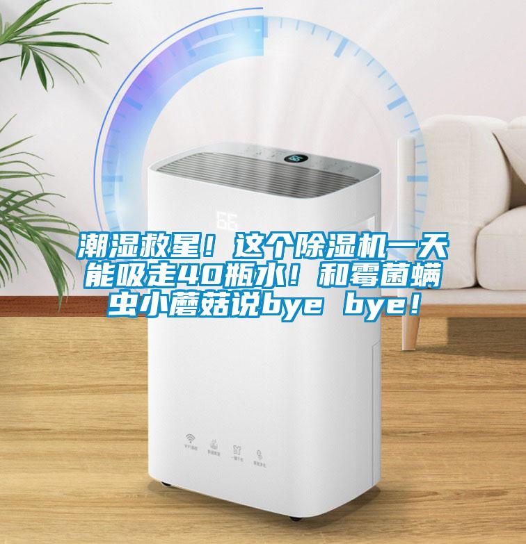 潮濕救星！這個(gè)除濕機(jī)一天能吸走40瓶水！和霉菌螨蟲(chóng)小蘑菇說(shuō)bye bye！