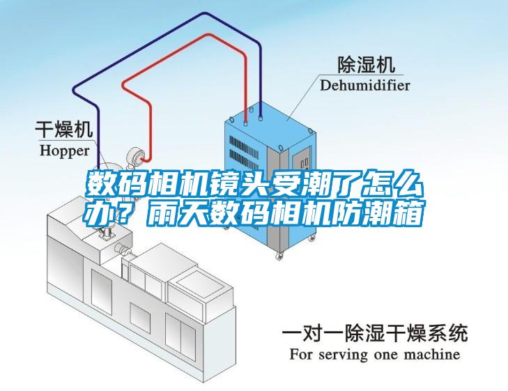 數(shù)碼相機鏡頭受潮了怎么辦？雨天數(shù)碼相機防潮箱